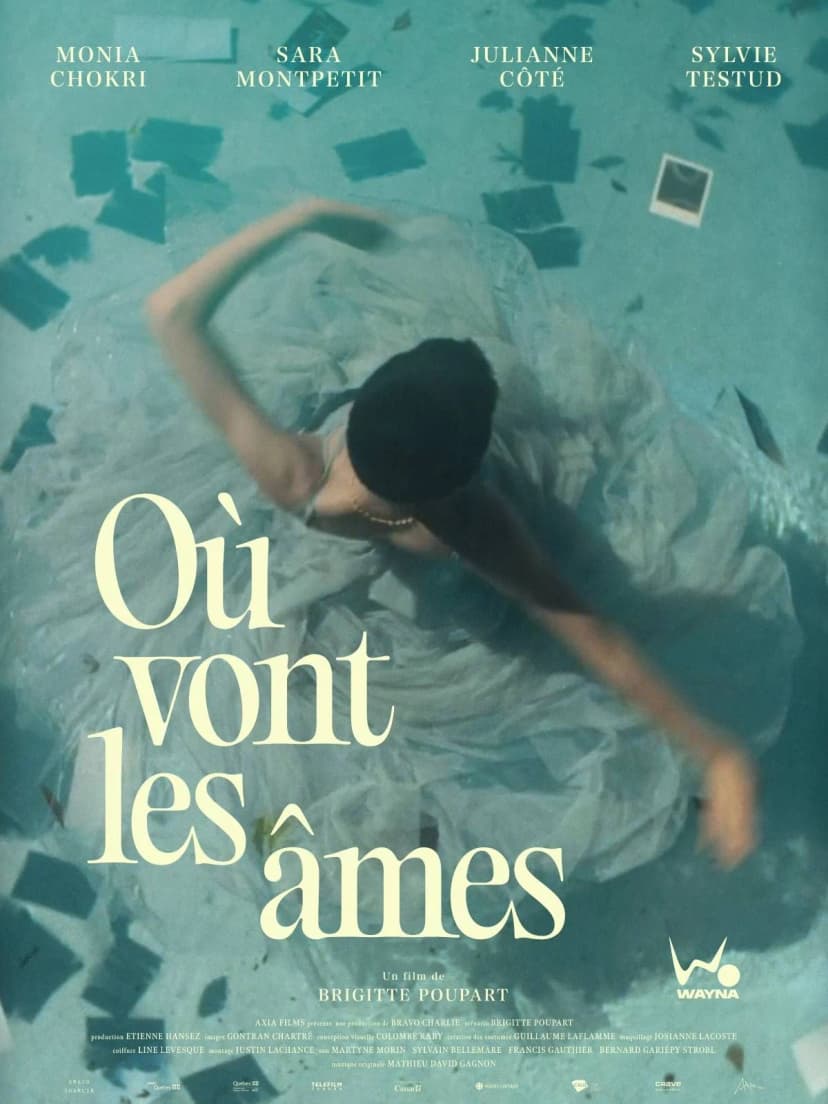 Affiche du film Où vont les âmes