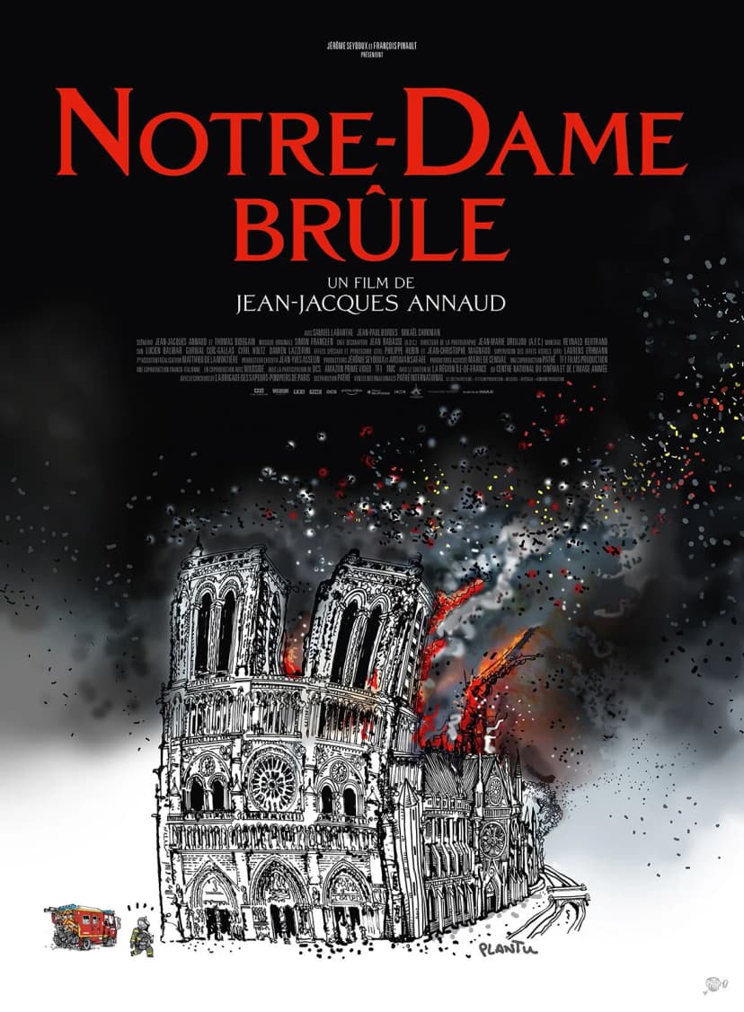 Affiche du film Notre-Dame brûle