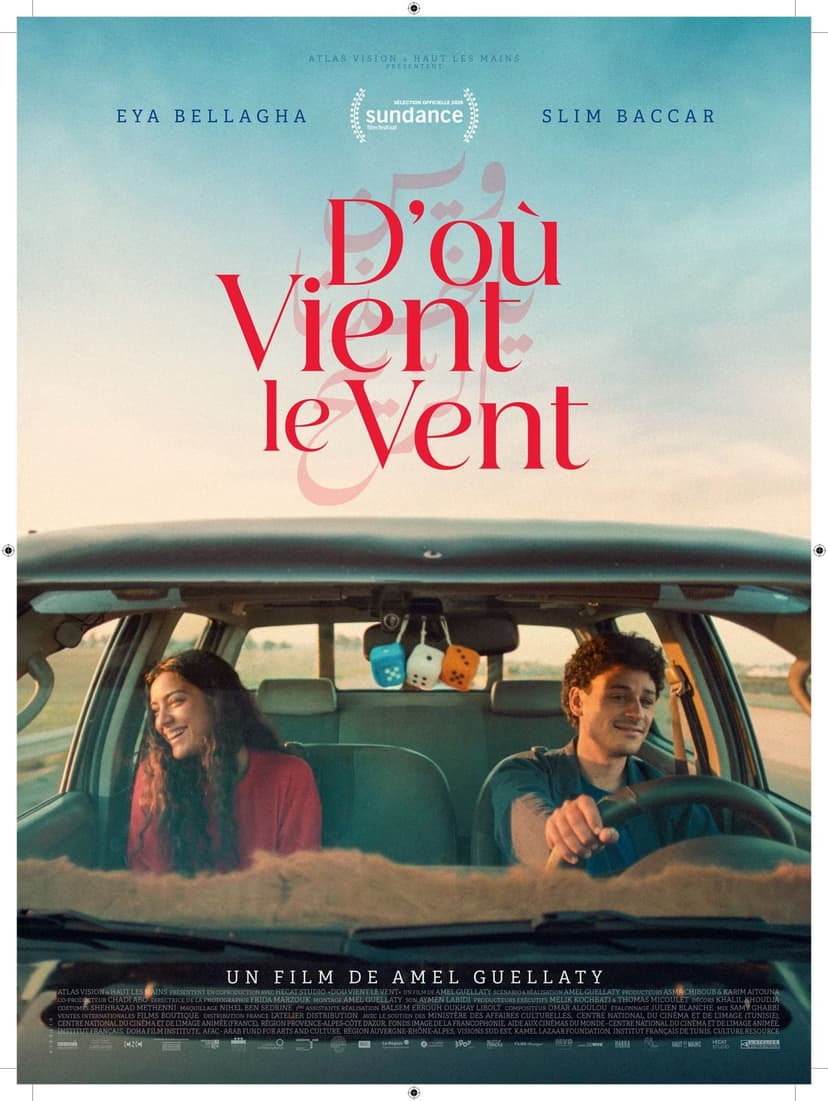 Affiche du film D'où vient le vent