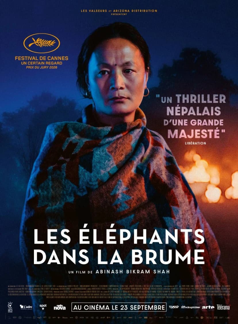 Affiche du film Les Elephants dans la brume