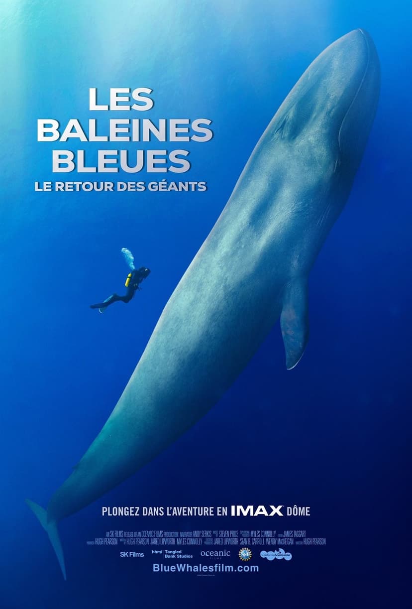 Affiche du film Les baleines bleues : le retour des géants