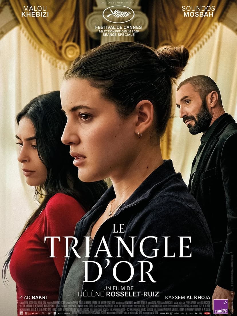 Affiche du film Le Triangle d'or