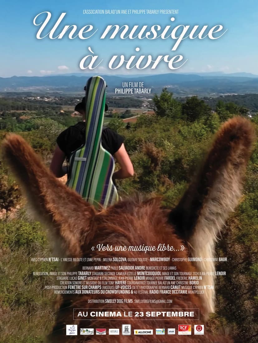 Affiche du film Une musique à vivre