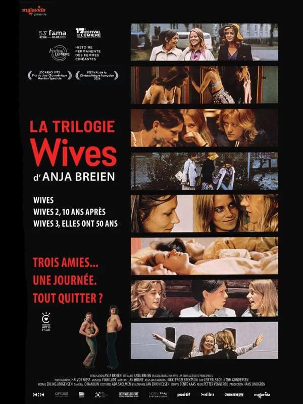 Affiche du film Wives 2, dix ans après