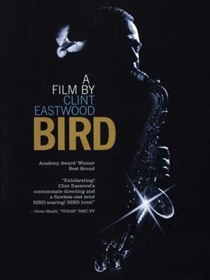 Affiche du film Bird
