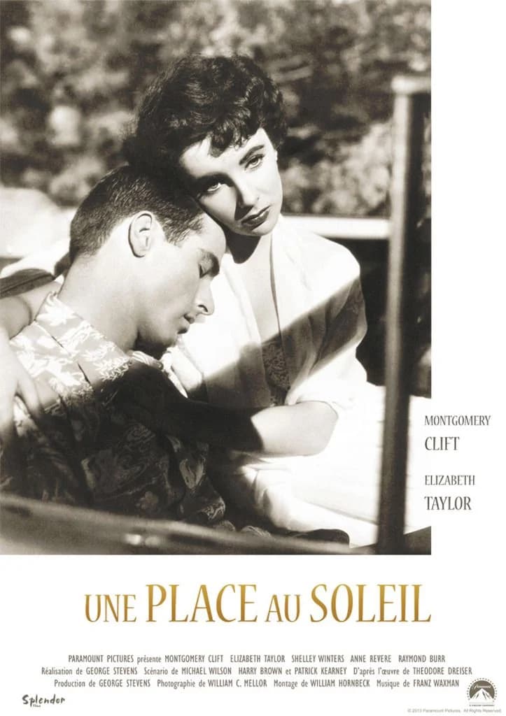 Affiche du film Une Place au soleil