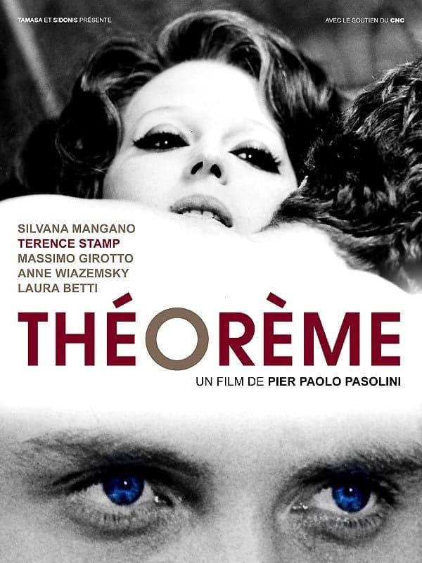 Affiche du film Théorème