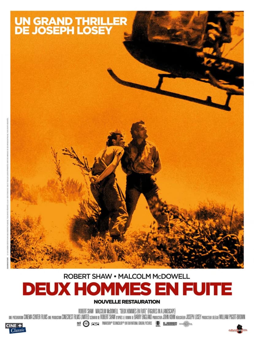 Affiche du film Deux hommes en fuite