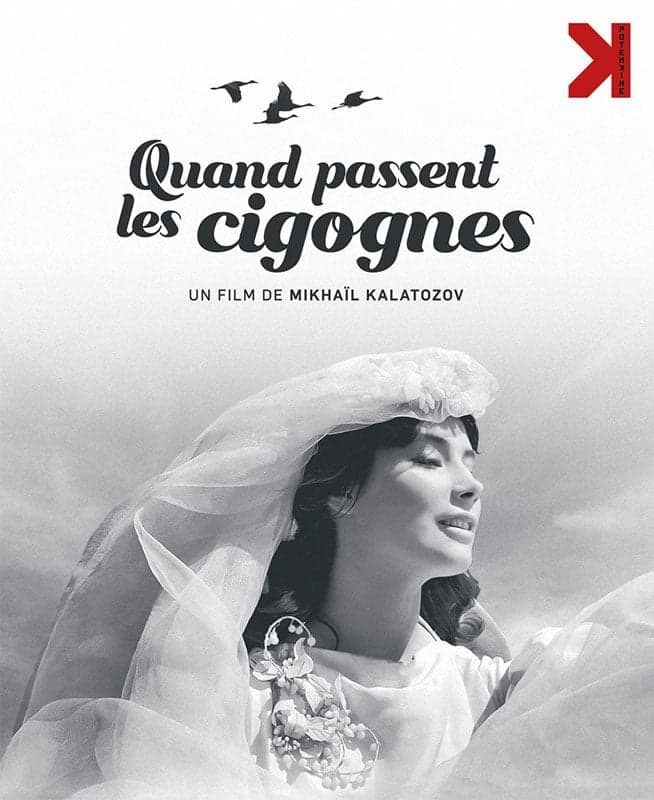 Affiche du film Quand passent les cigognes