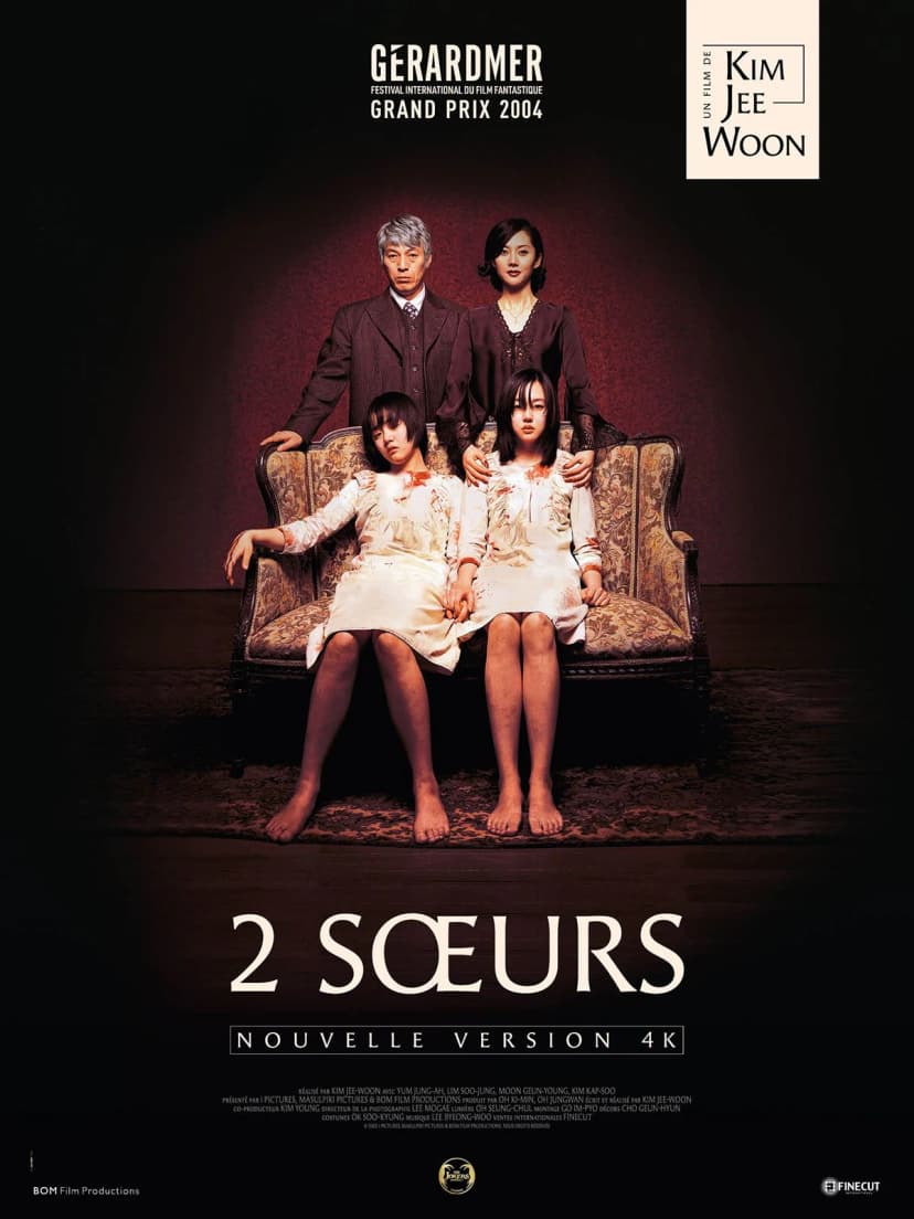 Affiche du film 2 soeurs