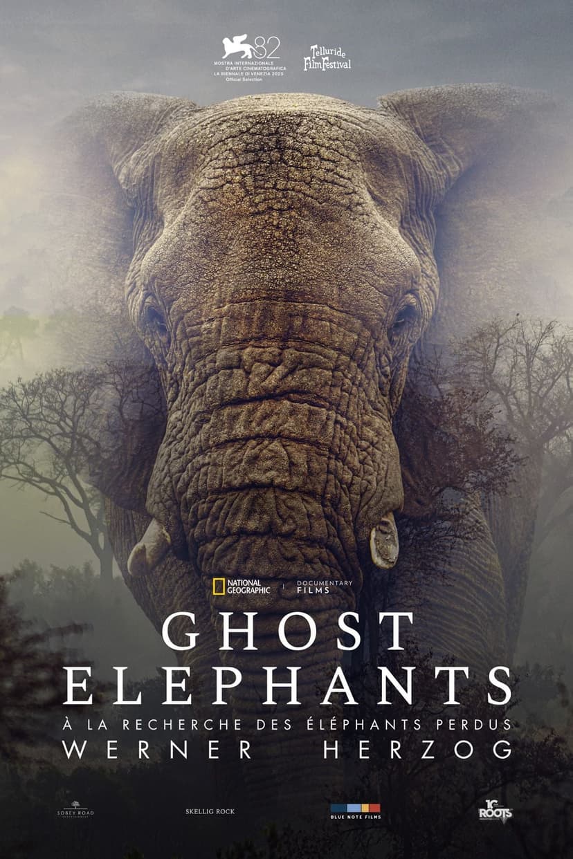 Affiche du film Ghost Elephants