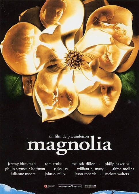 Affiche du film Magnolia