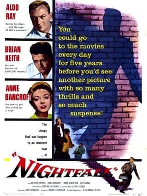 Affiche du film Poursuites dans la nuit