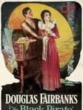 Affiche du film Le Pirate noir