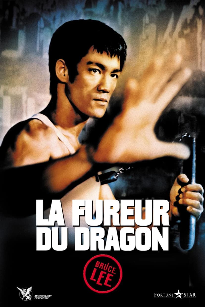 Affiche du film La Fureur du dragon