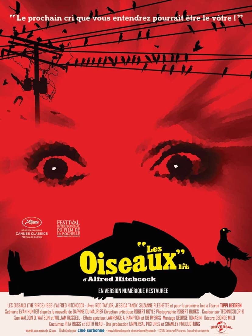 Affiche du film Les Oiseaux