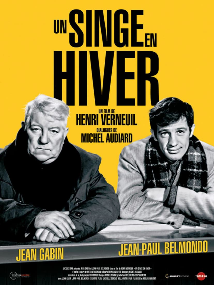 Affiche du film Un Singe en hiver