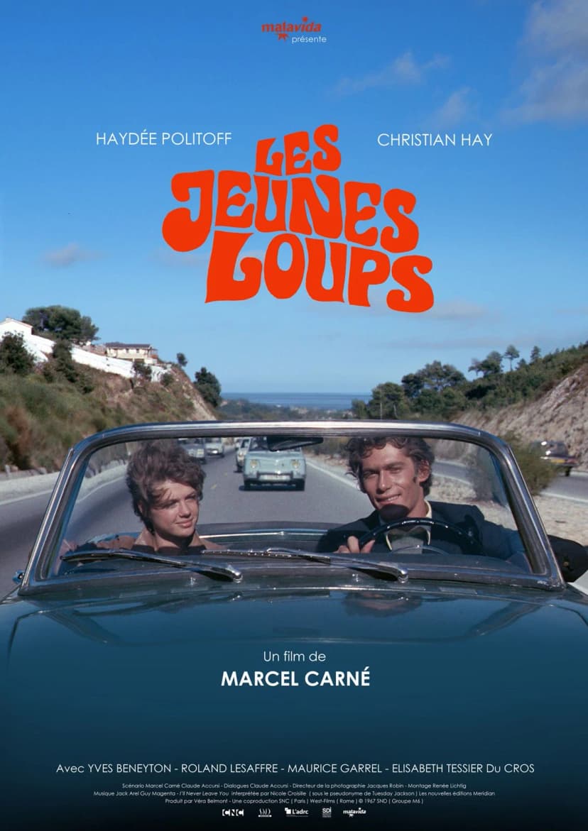 Affiche du film Les Jeunes loups