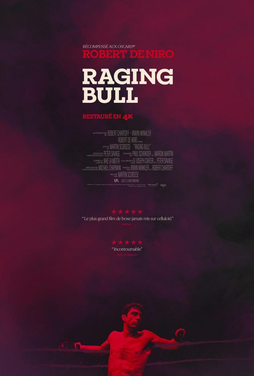Affiche du film Raging Bull
